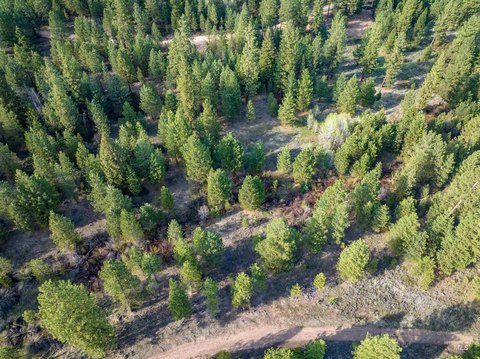 Land, Placerville, ID