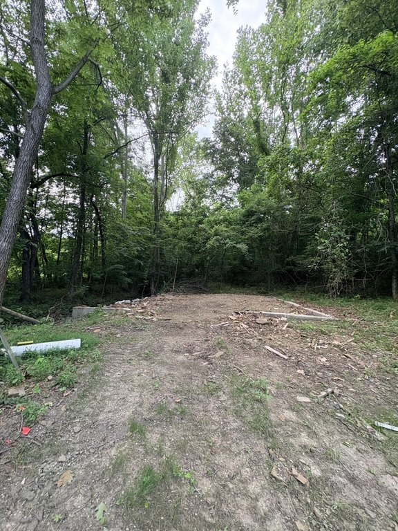 Picture 21