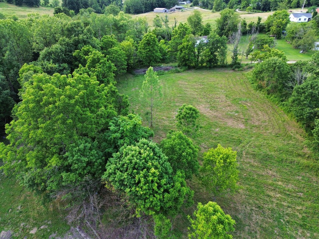 Picture 8