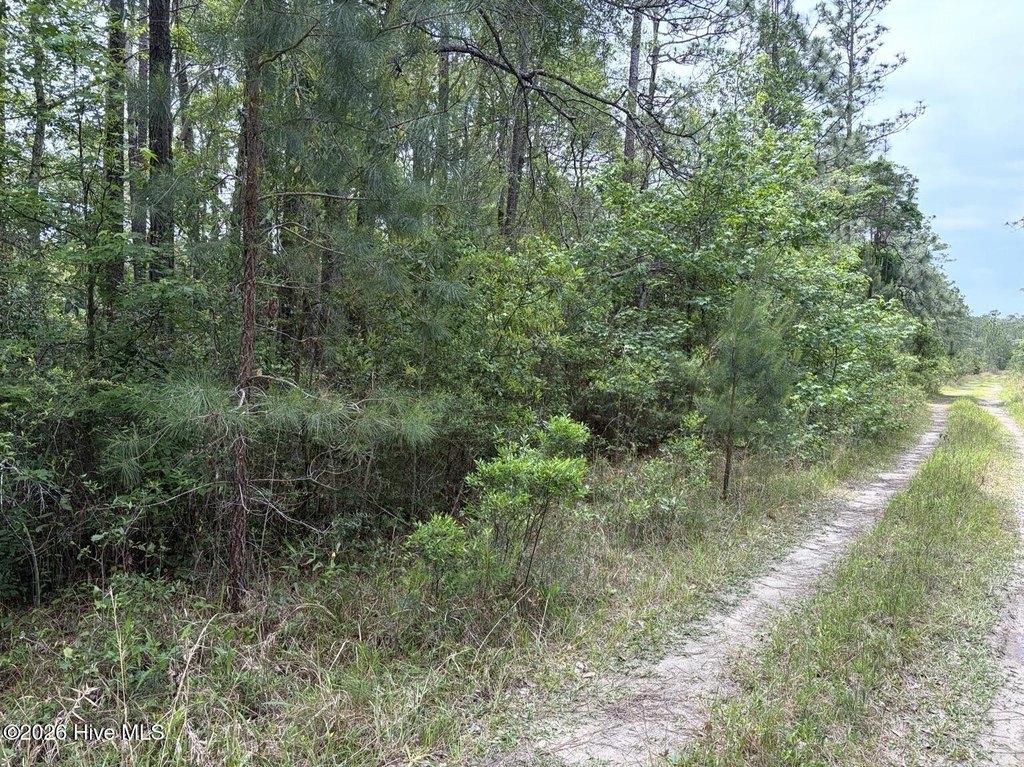 Picture 5