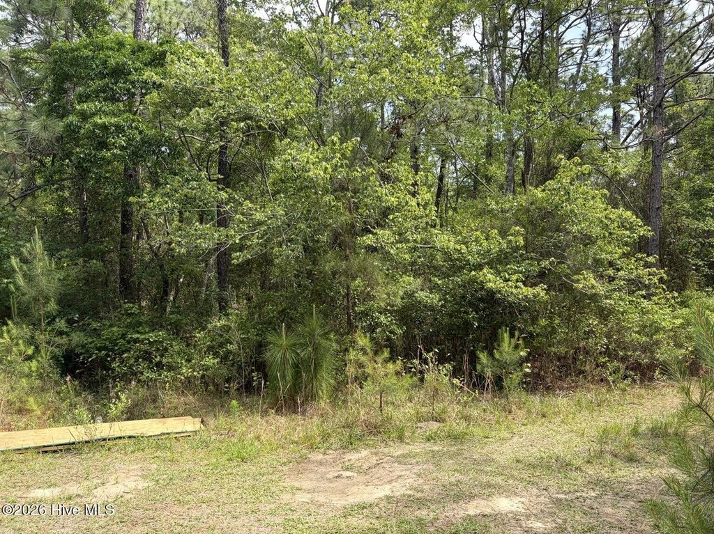 Picture 6