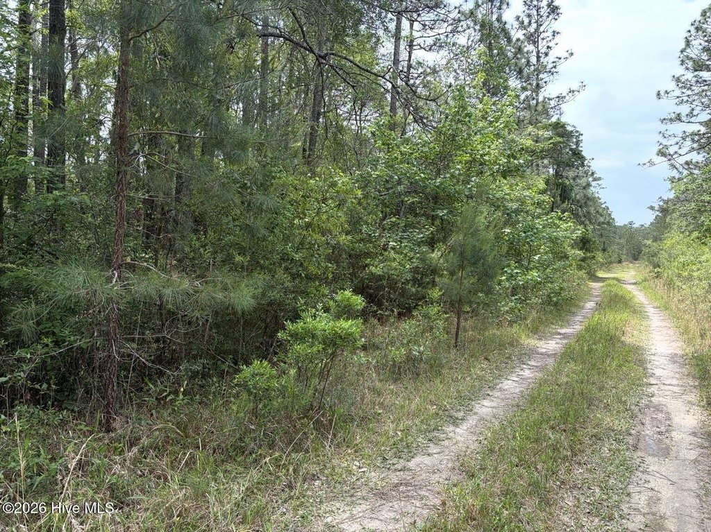 Picture 3