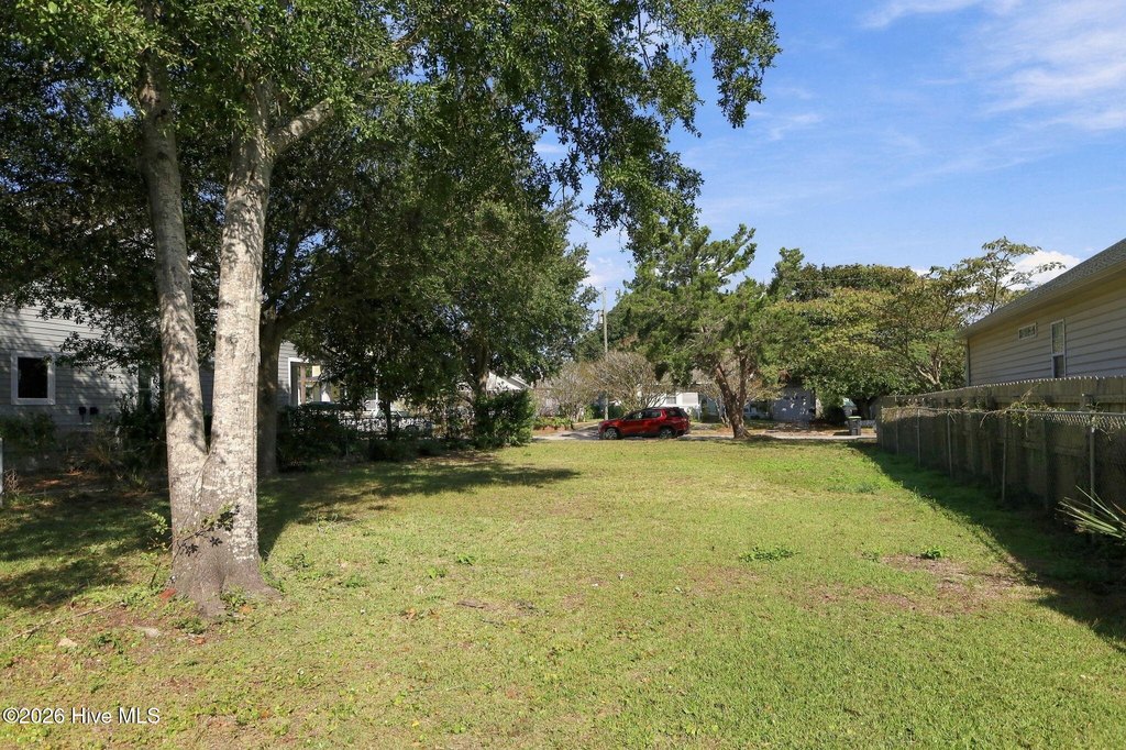 Picture 15