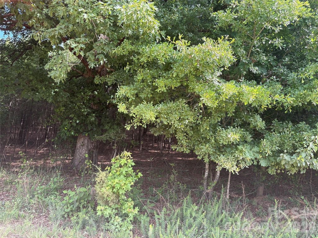 Picture 10