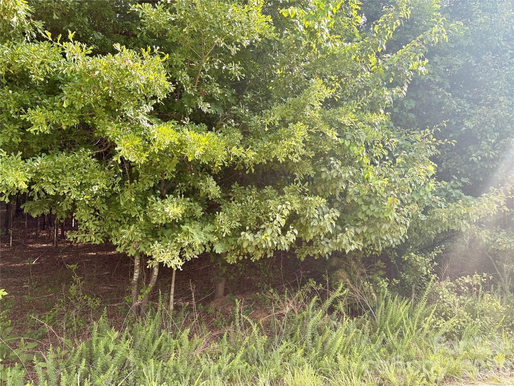 Picture 3