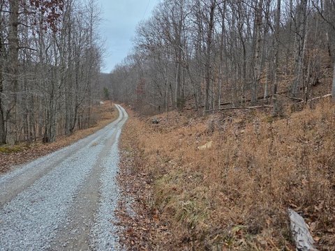 Hillsboro, KY Wooded Land