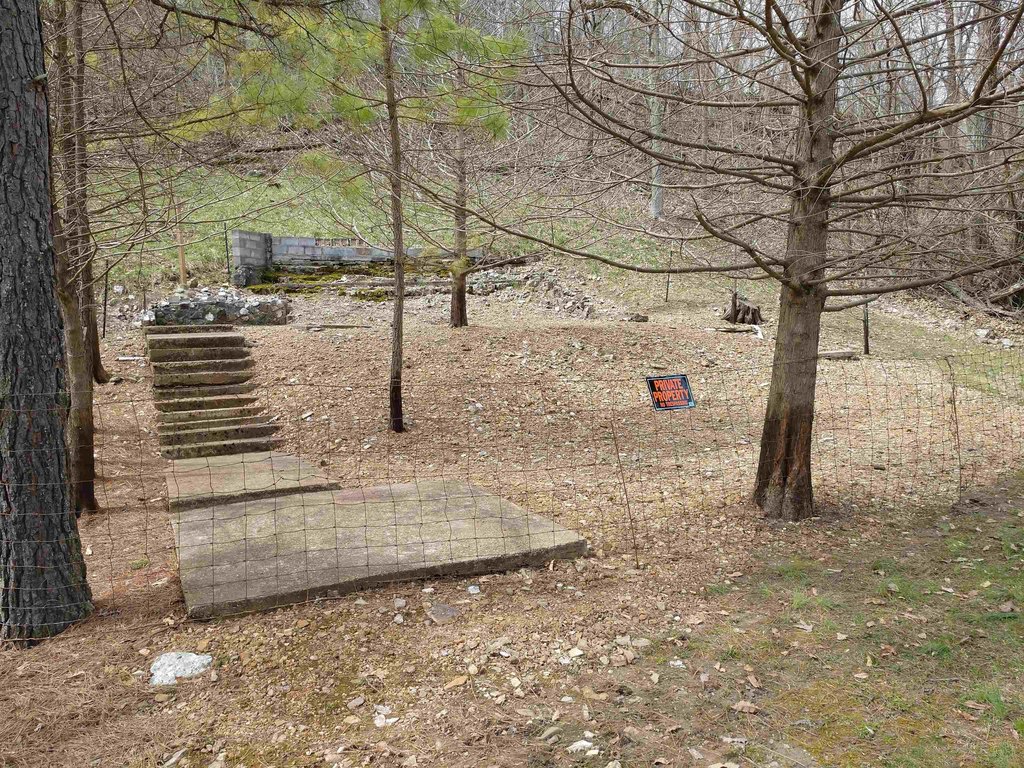 Picture 12