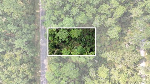 Land, Citrus Springs, FL