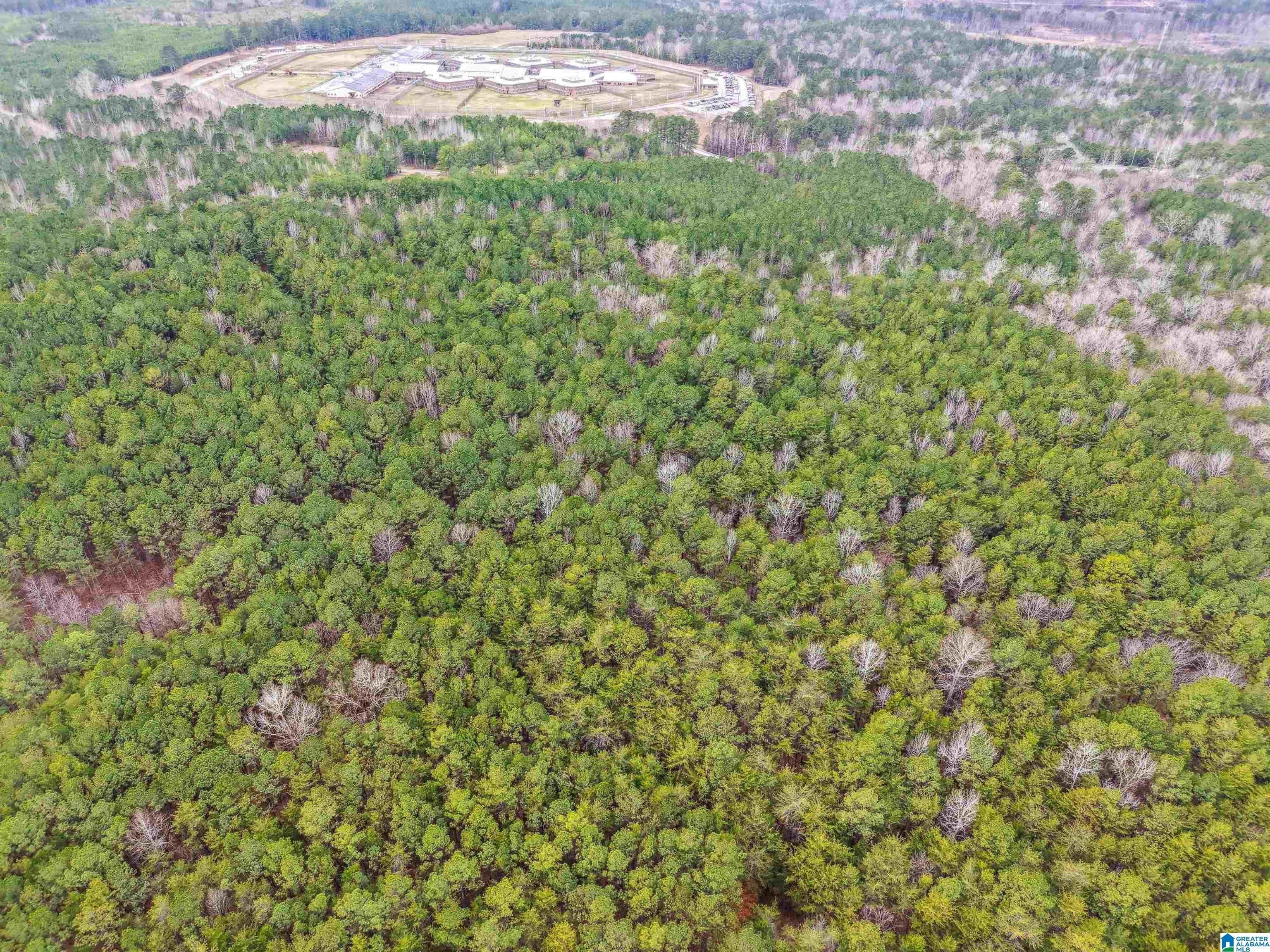 Raw Land with Waterfront Access