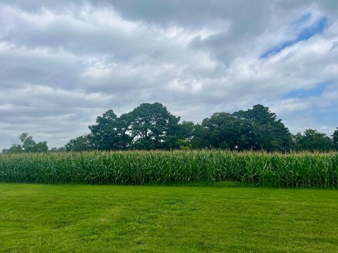 Waterfront Lot in Winding Creek