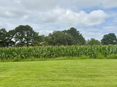 Waterfront Lot in Winding Creek