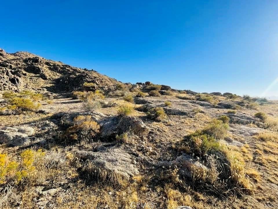 Picture 23