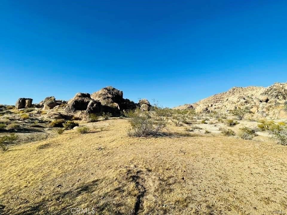 Picture 14