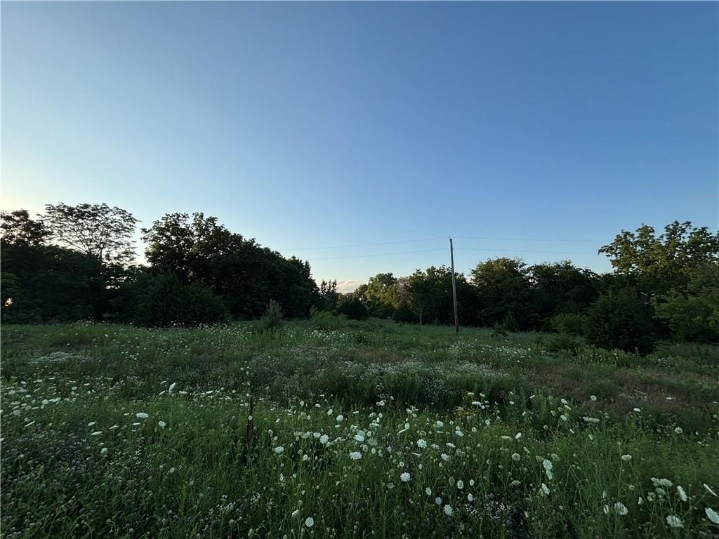Picture 14