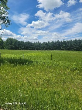 Hunting Land with Wood and Pasture