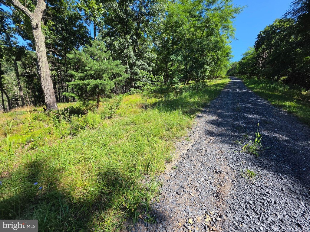 Picture 22