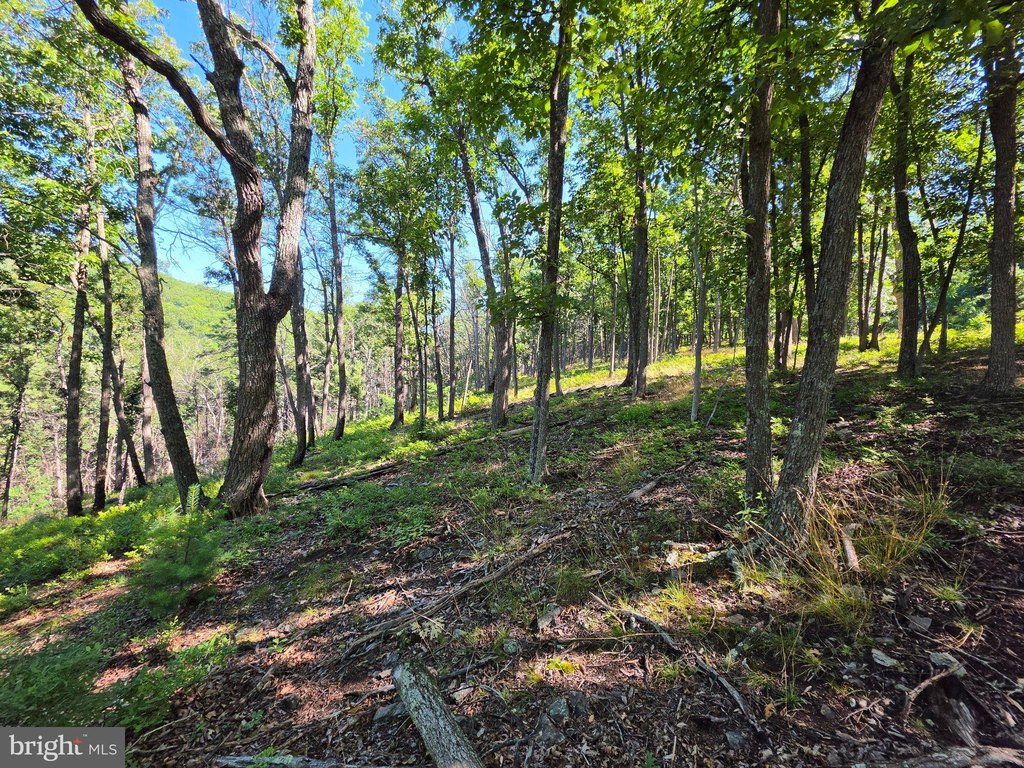 Picture 15