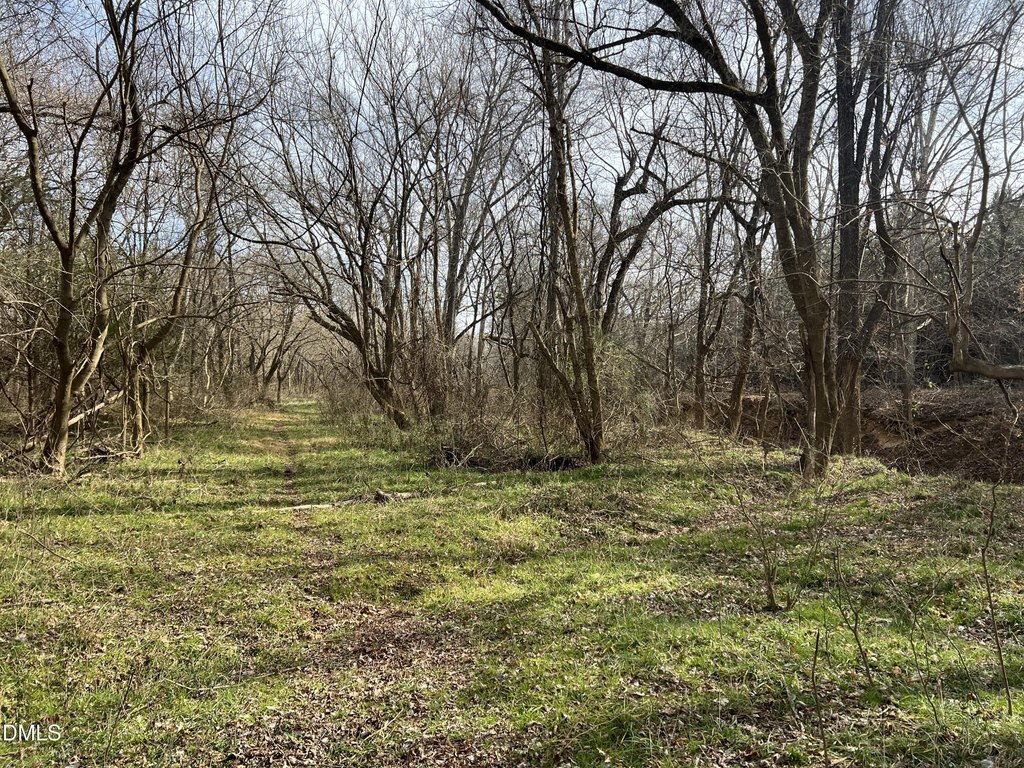 Picture 56