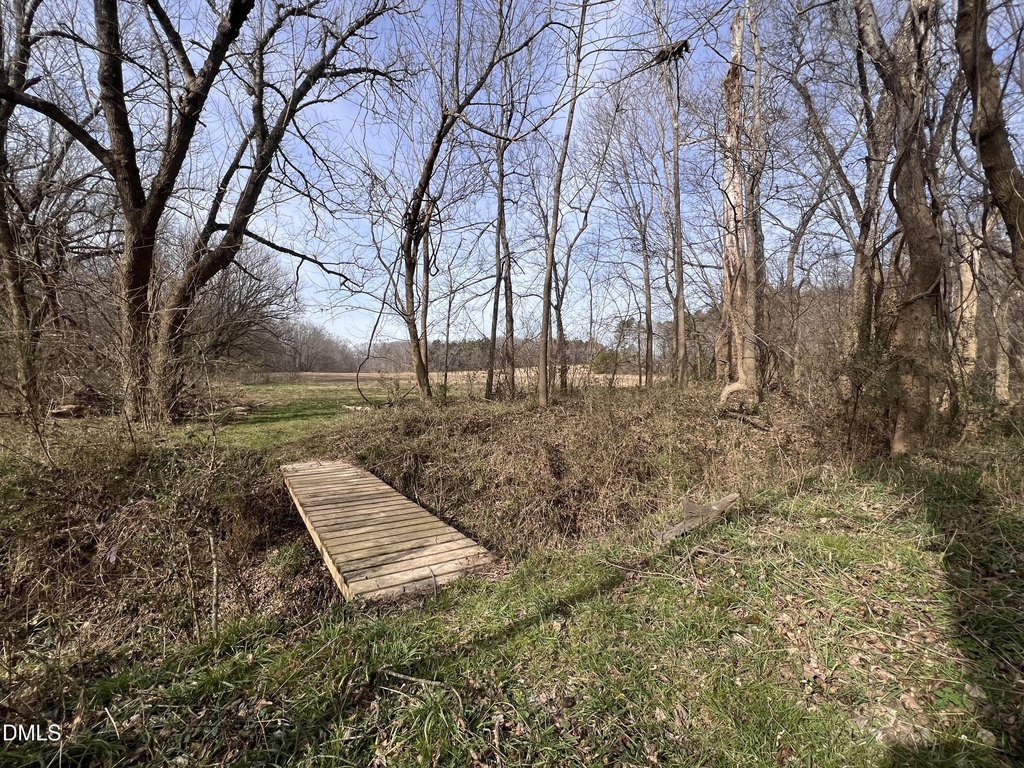 Picture 51