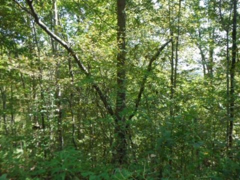 Creekfront Agricultural Land