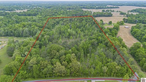 Unrestricted Hunting and Build Land