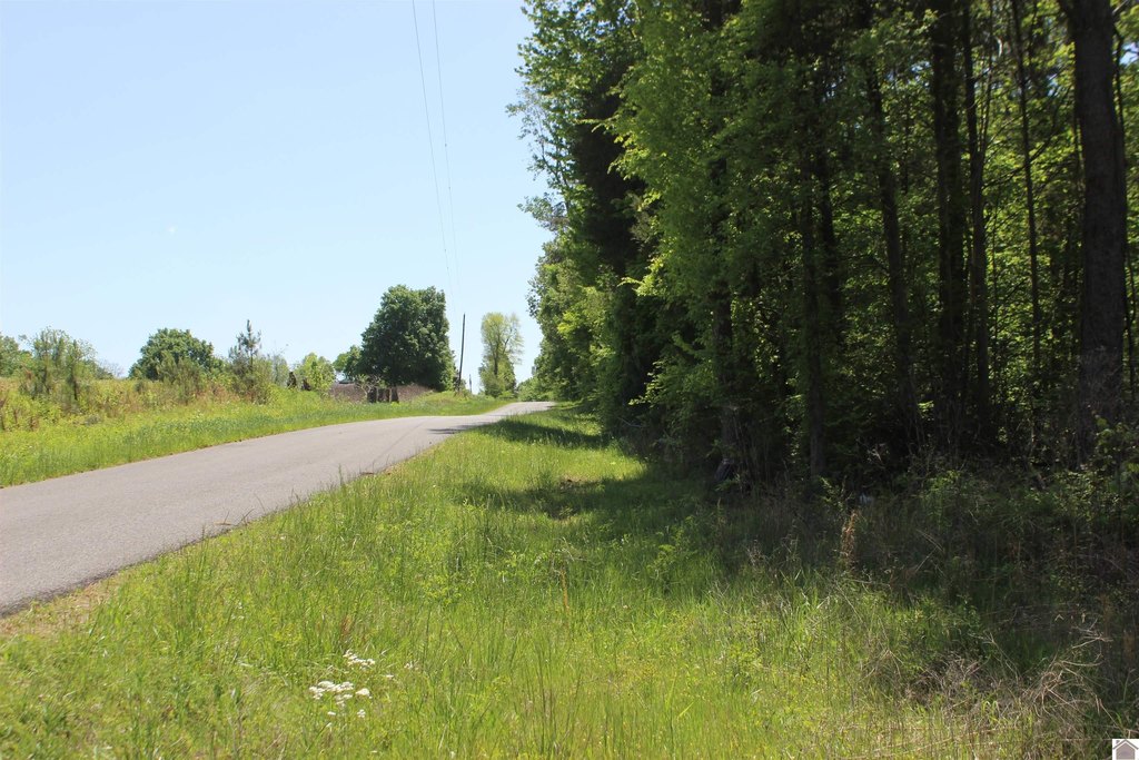 Picture 36