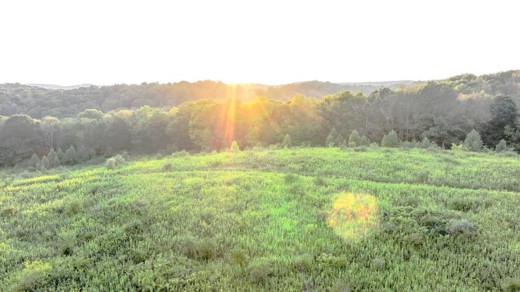 Picture 35