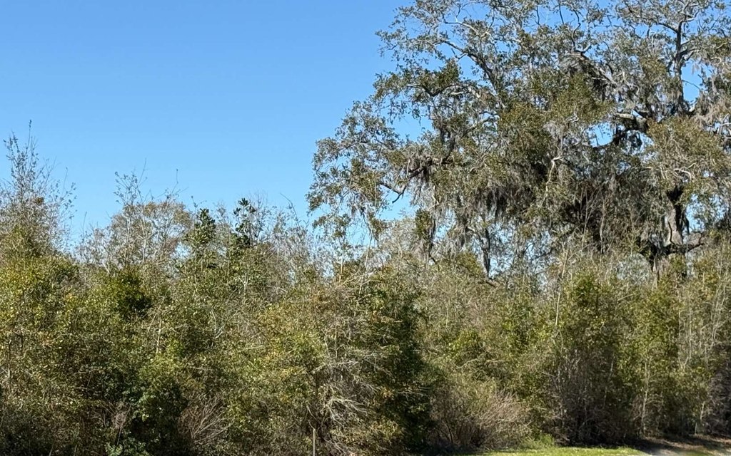 Picture 12