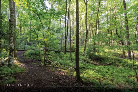 Buildable Mountain Lot at Cul-de-Sac