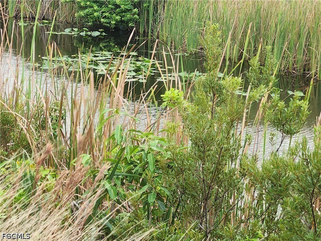Picture 3