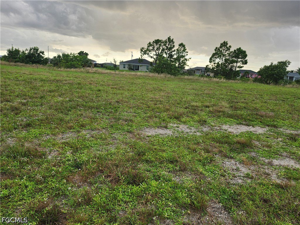 Picture 6
