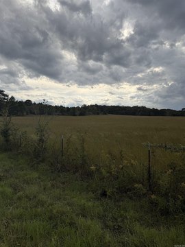 Vacant Land, Romance, AR