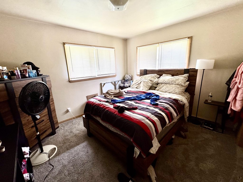 Picture 17