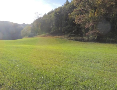 Rolling Meadow Land Near Chestnut Creek