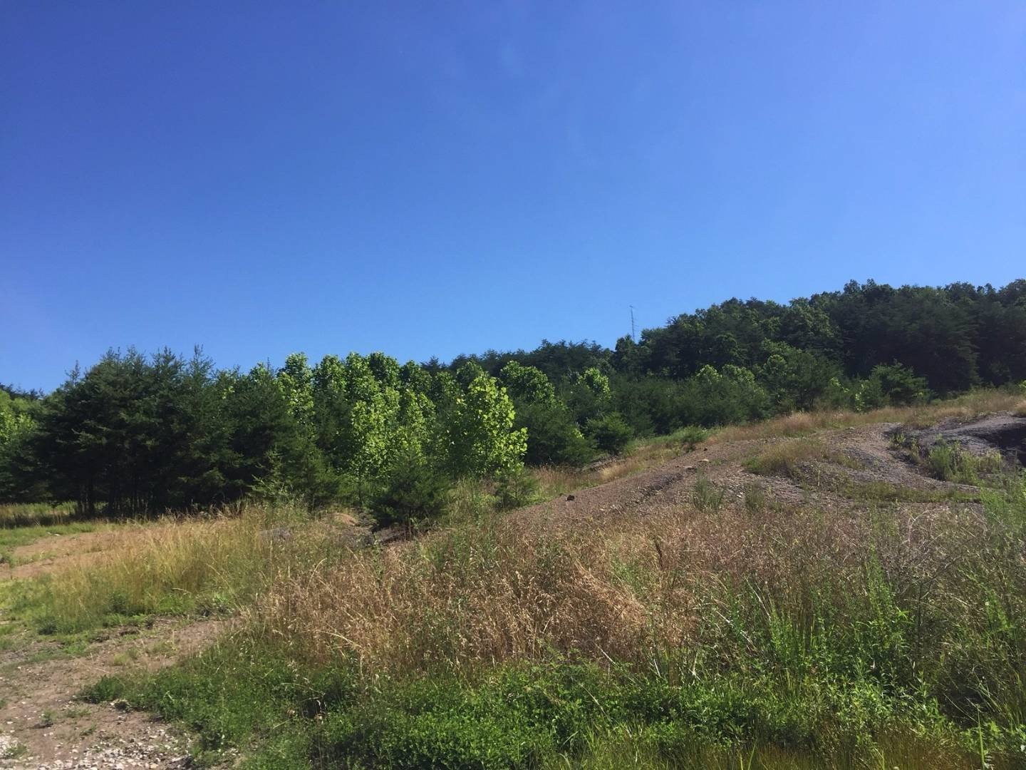 75 Acres Development Potential