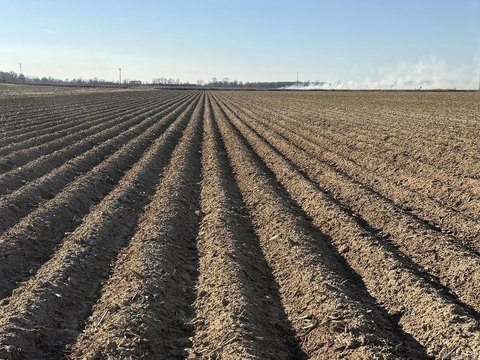 151 Acres Farmland Auction, Corning