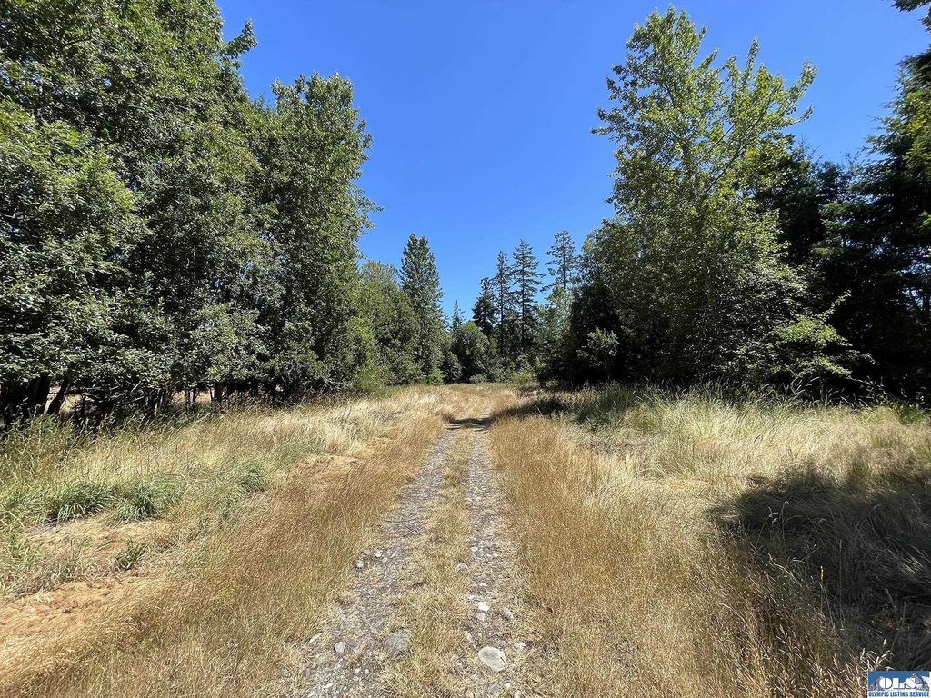 Picture 20