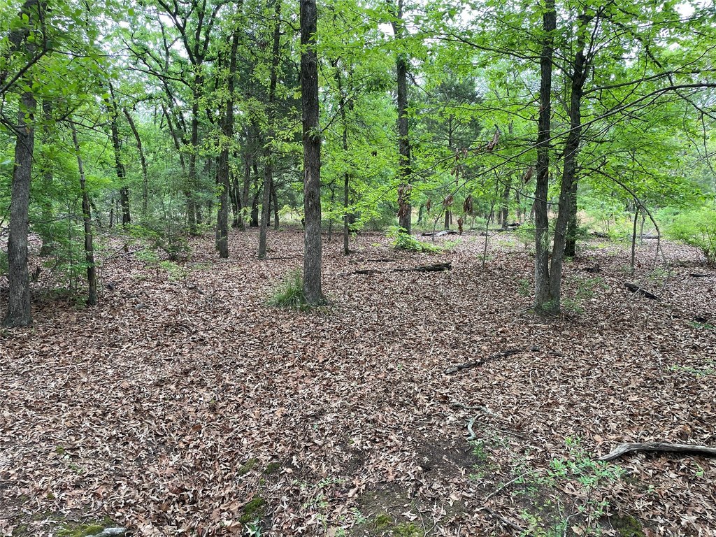 Picture 13