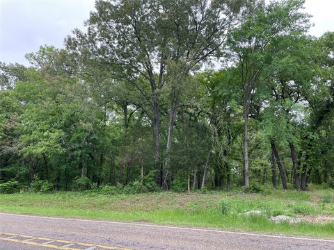 Residential Land Tract with Open Space