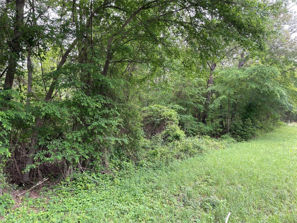 Picture 18
