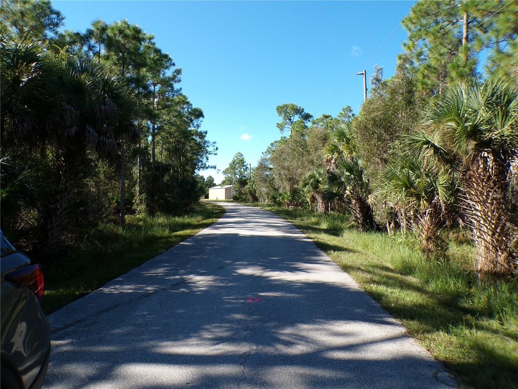 Picture 12