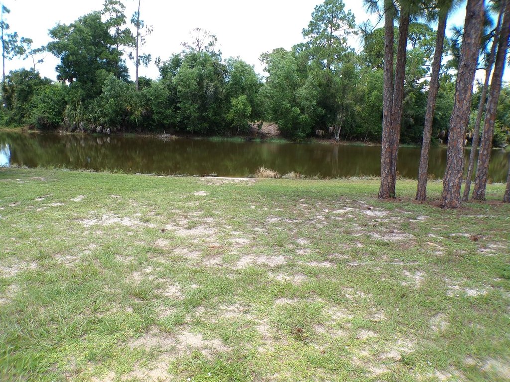 Picture 22