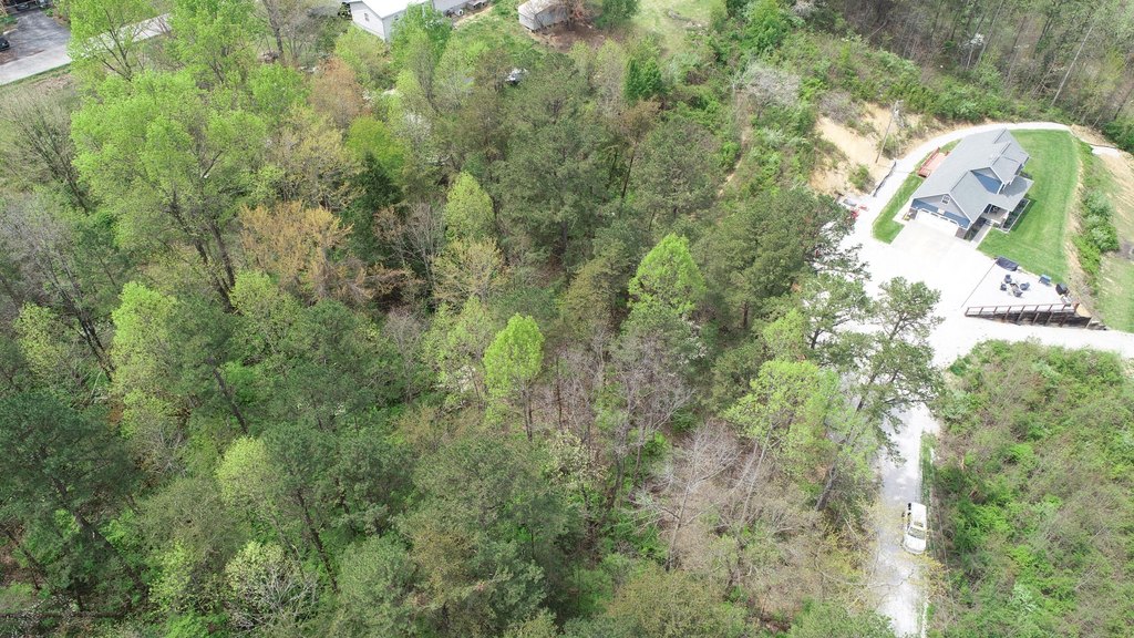 Picture 7
