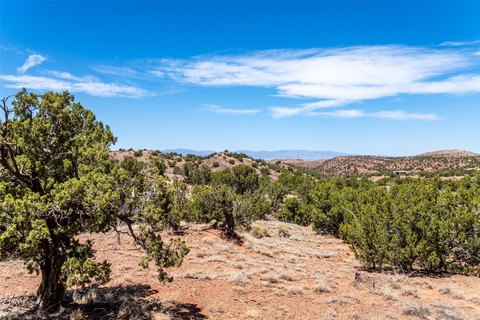 LAND - Placitas, NM