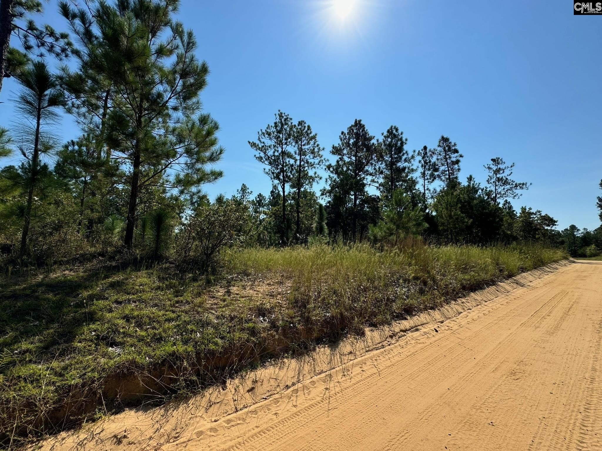 75 Acres in Swansea, SC