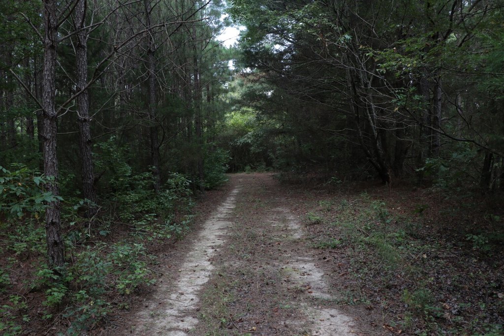 Picture 3