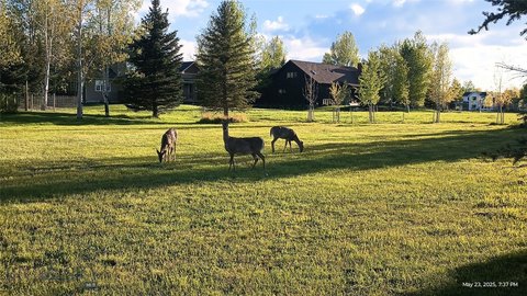 Bozeman Vacant Land Opportunity