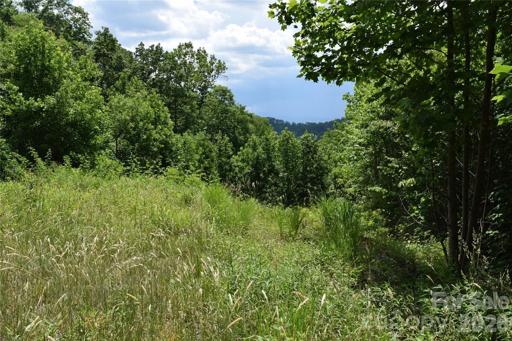 Picture 26