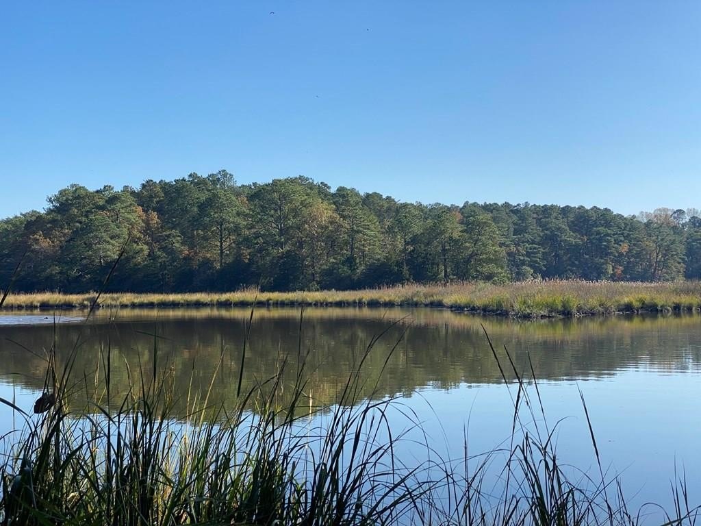 Waterfront Land on Occohannock Creek