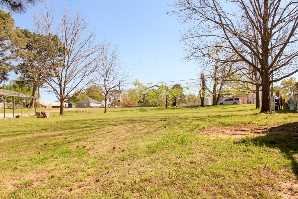 Picture 8